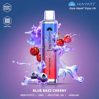 The Hayati Pro Max 4000 Disposable Vape 20MG 10 x Multipack
