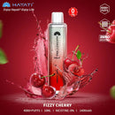 Hayati Pro Max 4000+ Disposable - Wholesale box of 10