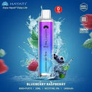 Hayati Pro Max 4000+ Disposable - Wholesale box of 10