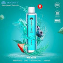 Hayati Pro Max 4000+ Disposable - Wholesale box of 10