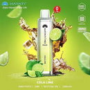 Hayati Pro Max 4000+ Disposable - Wholesale box of 10